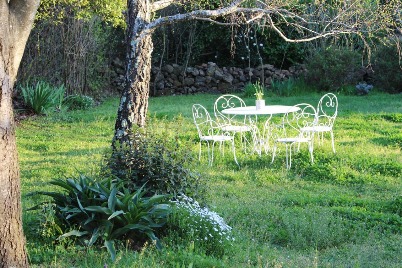 Mas Les Romarins, 10 Min D'Uzes, Piscine Et Grand Jardin Clos, Jeux, Nid De Repos Et Base Pour Activites Dans Le Gard (Adults Only) Екстер'єр фото