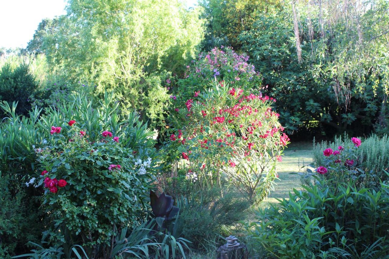 Mas Les Romarins, 10 Min D'Uzes, Piscine Et Grand Jardin Clos, Jeux, Nid De Repos Et Base Pour Activites Dans Le Gard (Adults Only) Екстер'єр фото