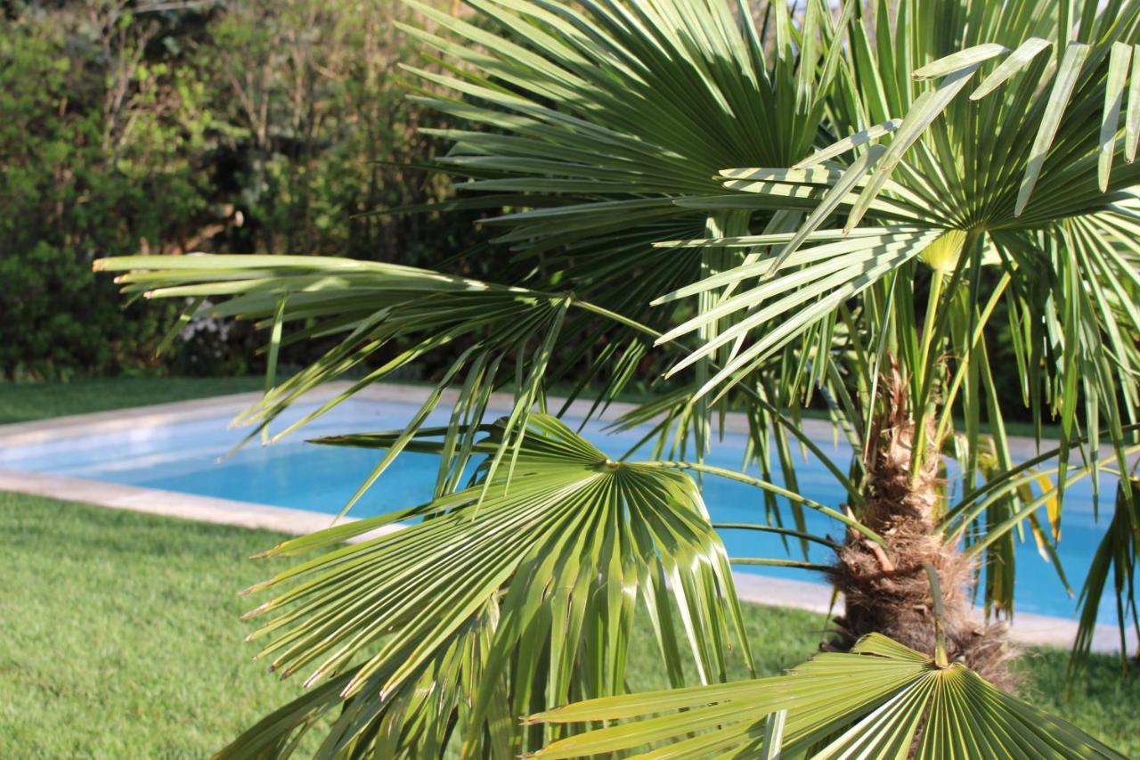 Mas Les Romarins, 10 Min D'Uzes, Piscine Et Grand Jardin Clos, Jeux, Nid De Repos Et Base Pour Activites Dans Le Gard (Adults Only) Екстер'єр фото